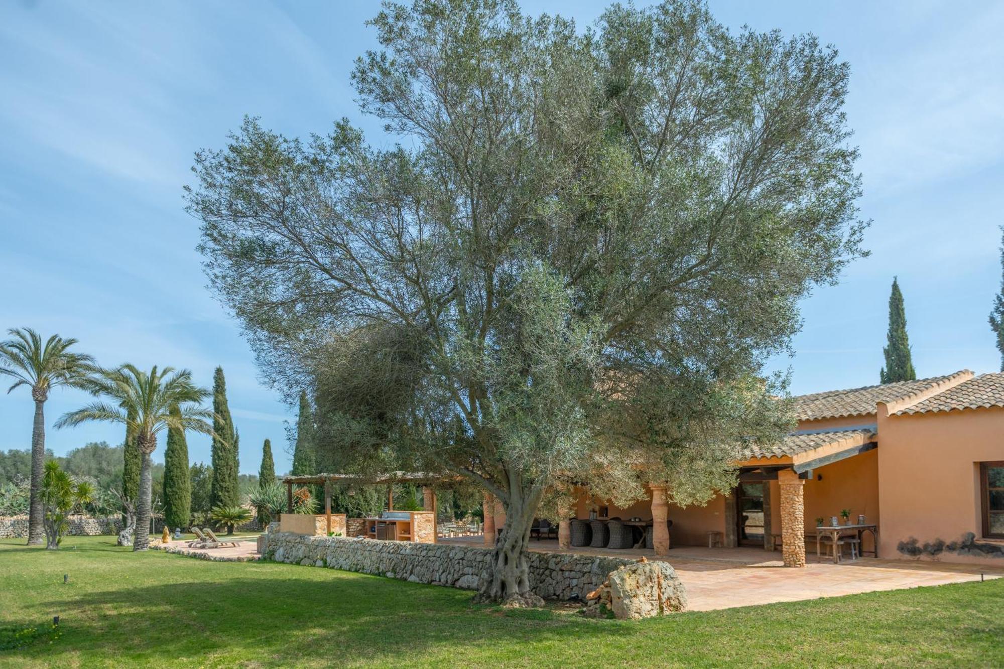 Son Mut Ferienhaus